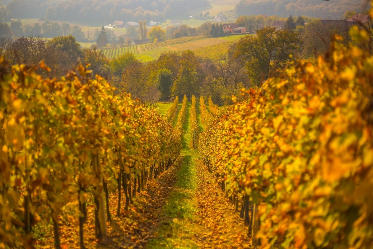 Jesenska rapsodija kroz objektiv Miroslave Novak