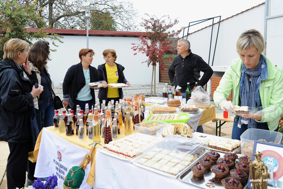 258110200dsc7486604244