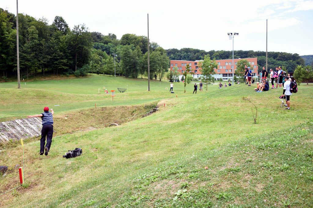 straydisctour08519153