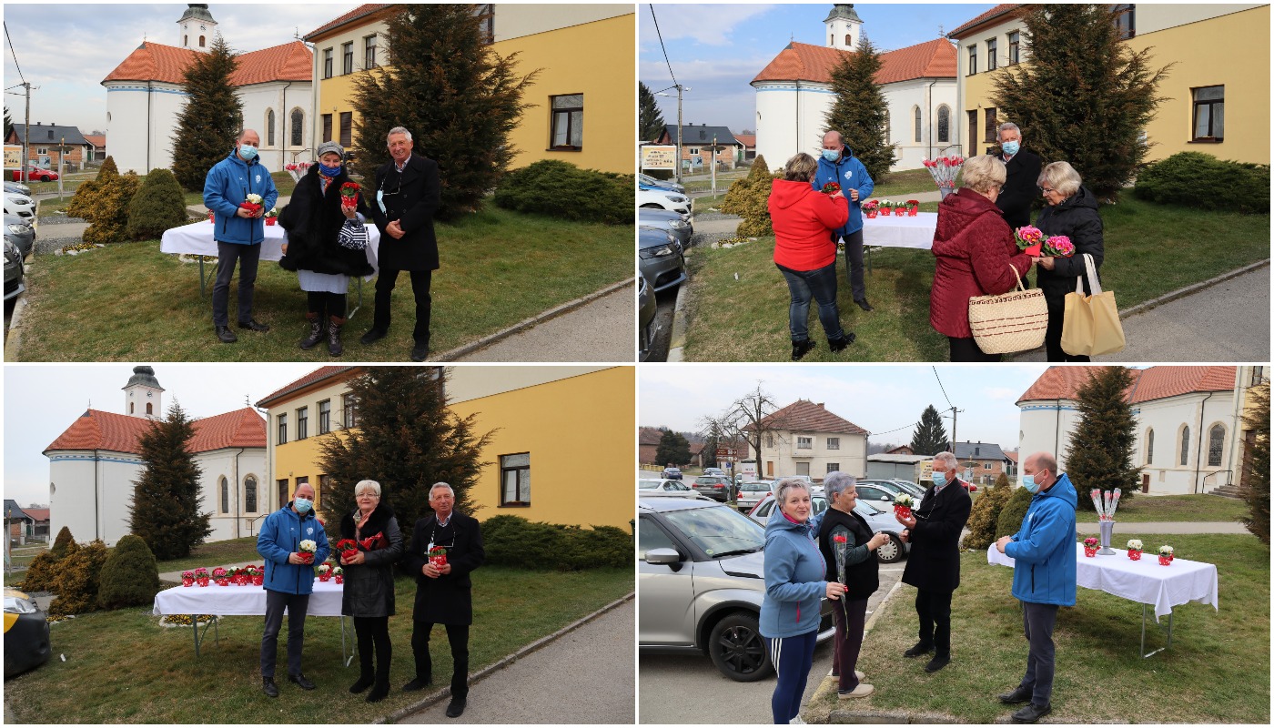 Karanfili i jaglaci za žene u centru Svetog Martina na Muri