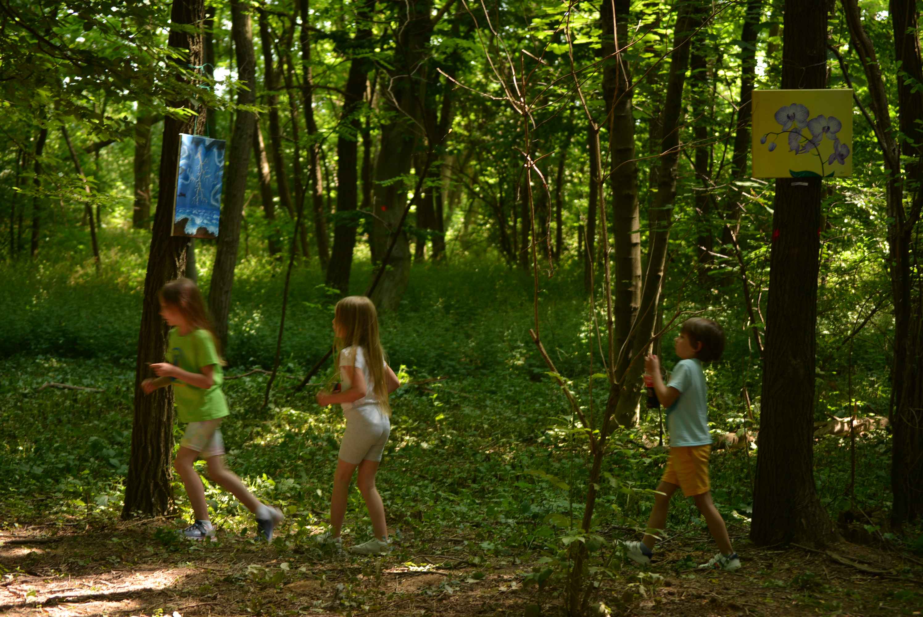 FOTO I VIDEO Predivna umjetnička idila na Art forestu u Nedelišću