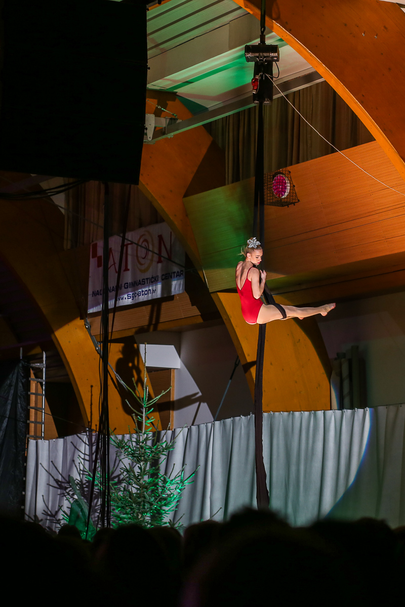 Božićni koncert zbora Josip Vrhovski iz Nedelišća