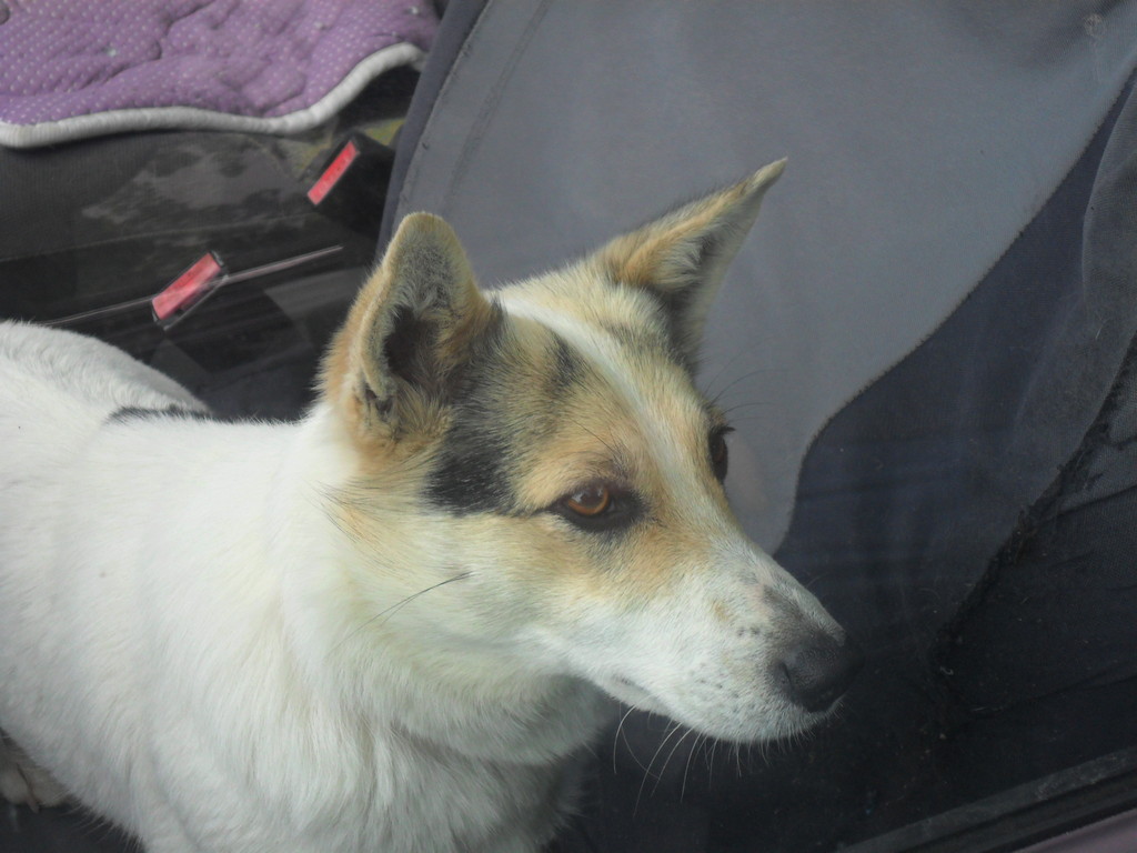 fotografija00009494768