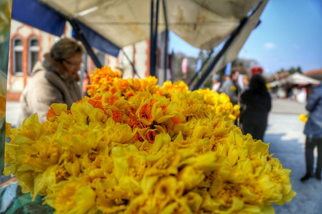 2952733810214618392430462207232