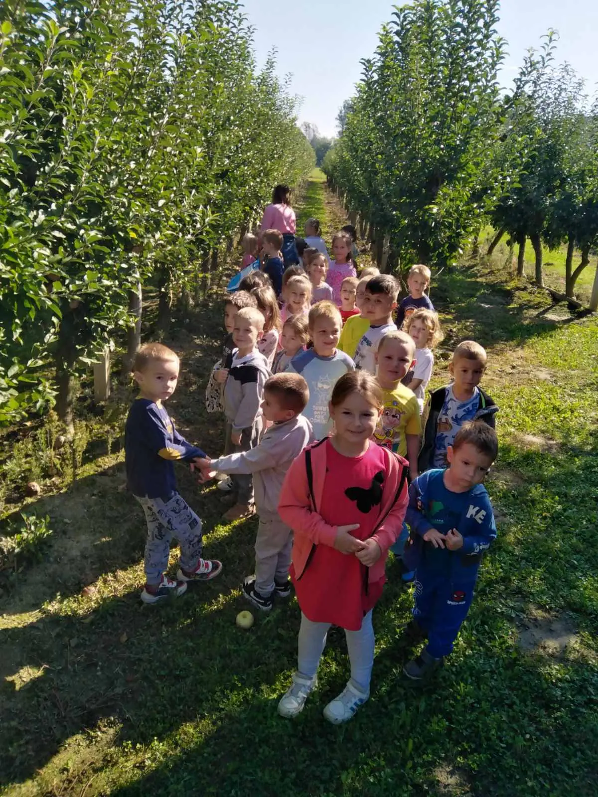 dječji vrtić klinčec jesen (2) dječji vrtić klinčec jesen (2)