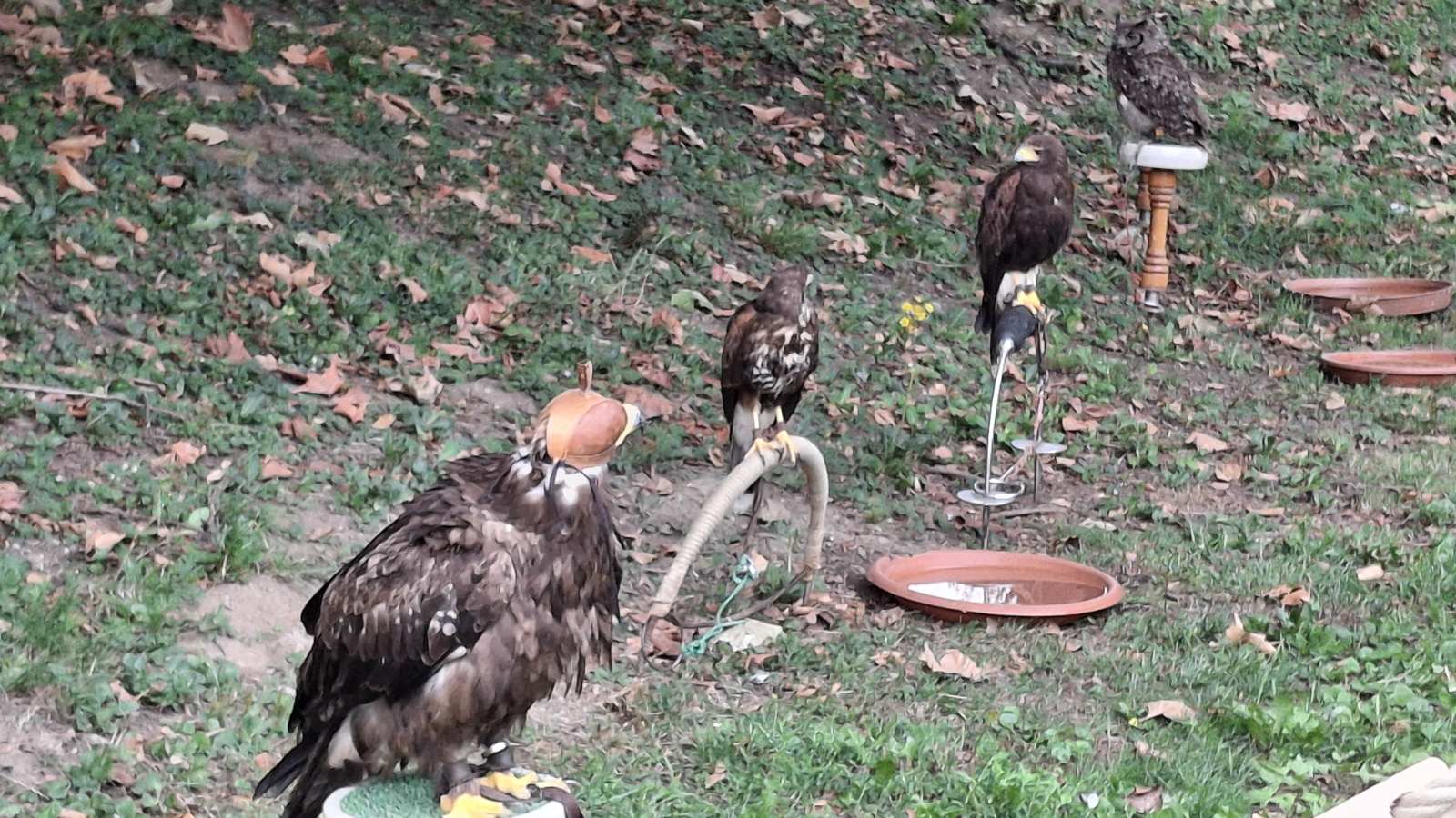 doba zrinskih, porcijunkulovo 2025 (54)