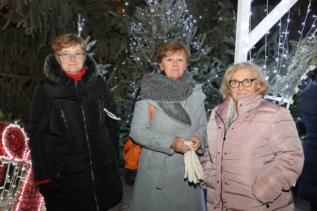 doček u prelogu 2024 (38) doček u prelogu 2024 (38)