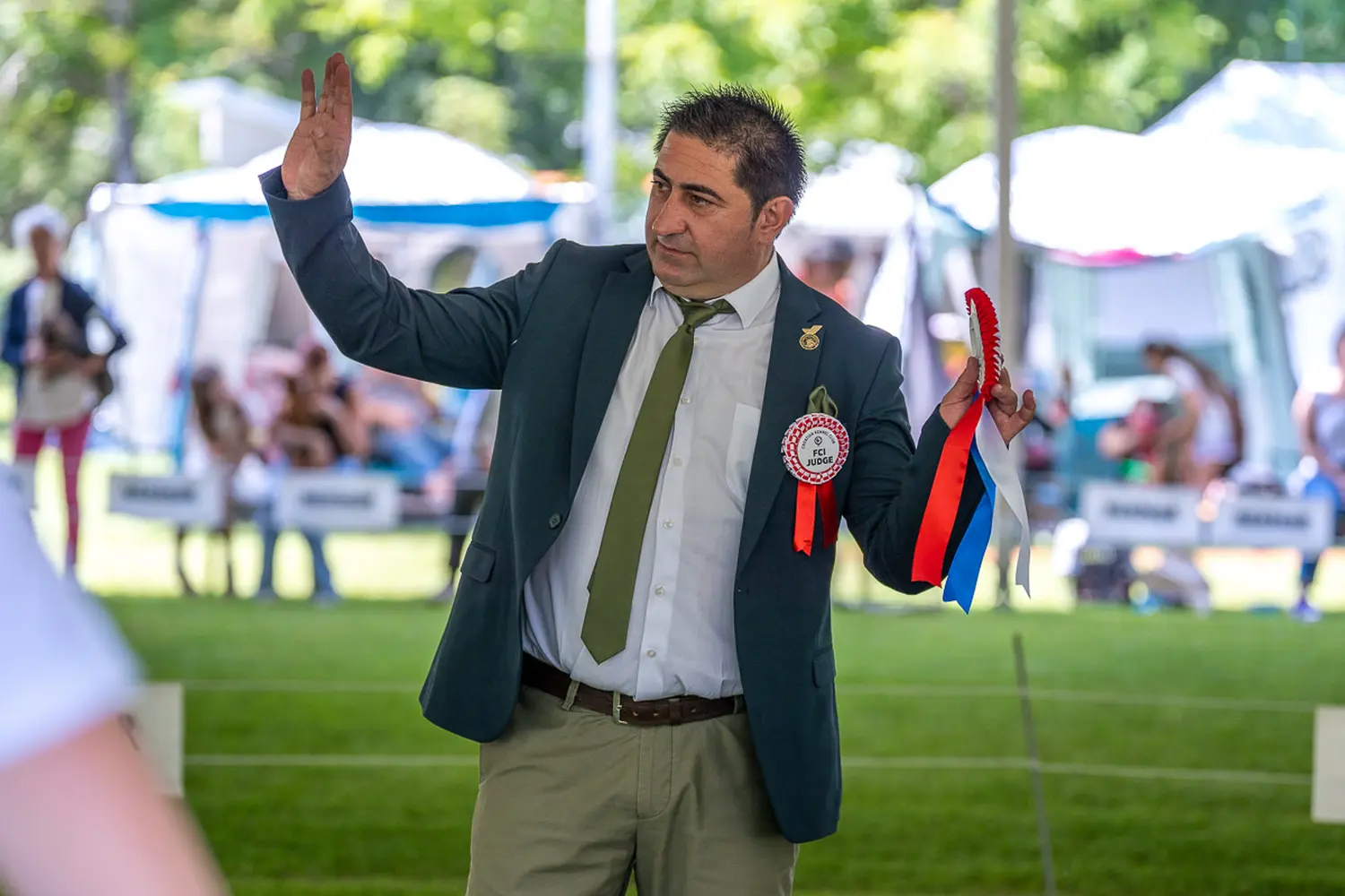 dog show 2024 varaždin,izložba pasa (16)