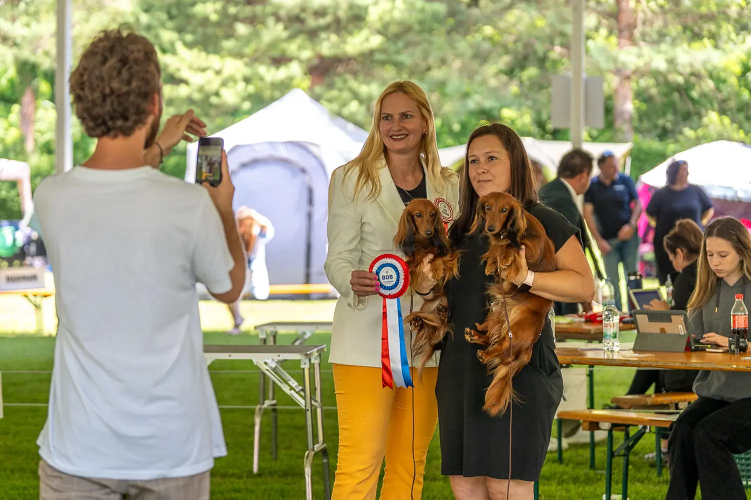 dog show 2024 varaždin,izložba pasa (2)