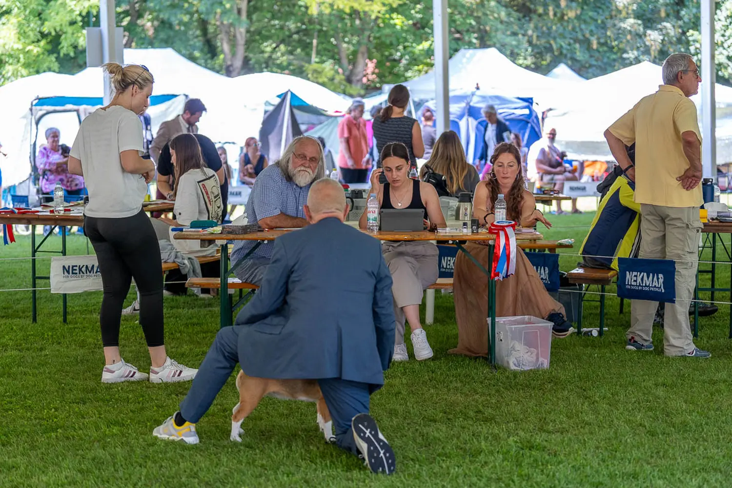 dog show 2024 varaždin,izložba pasa (22)