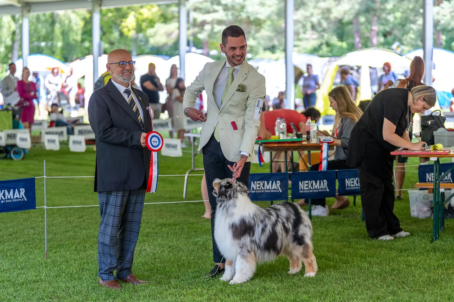 dog show 2024 varaždin,izložba pasa (27)