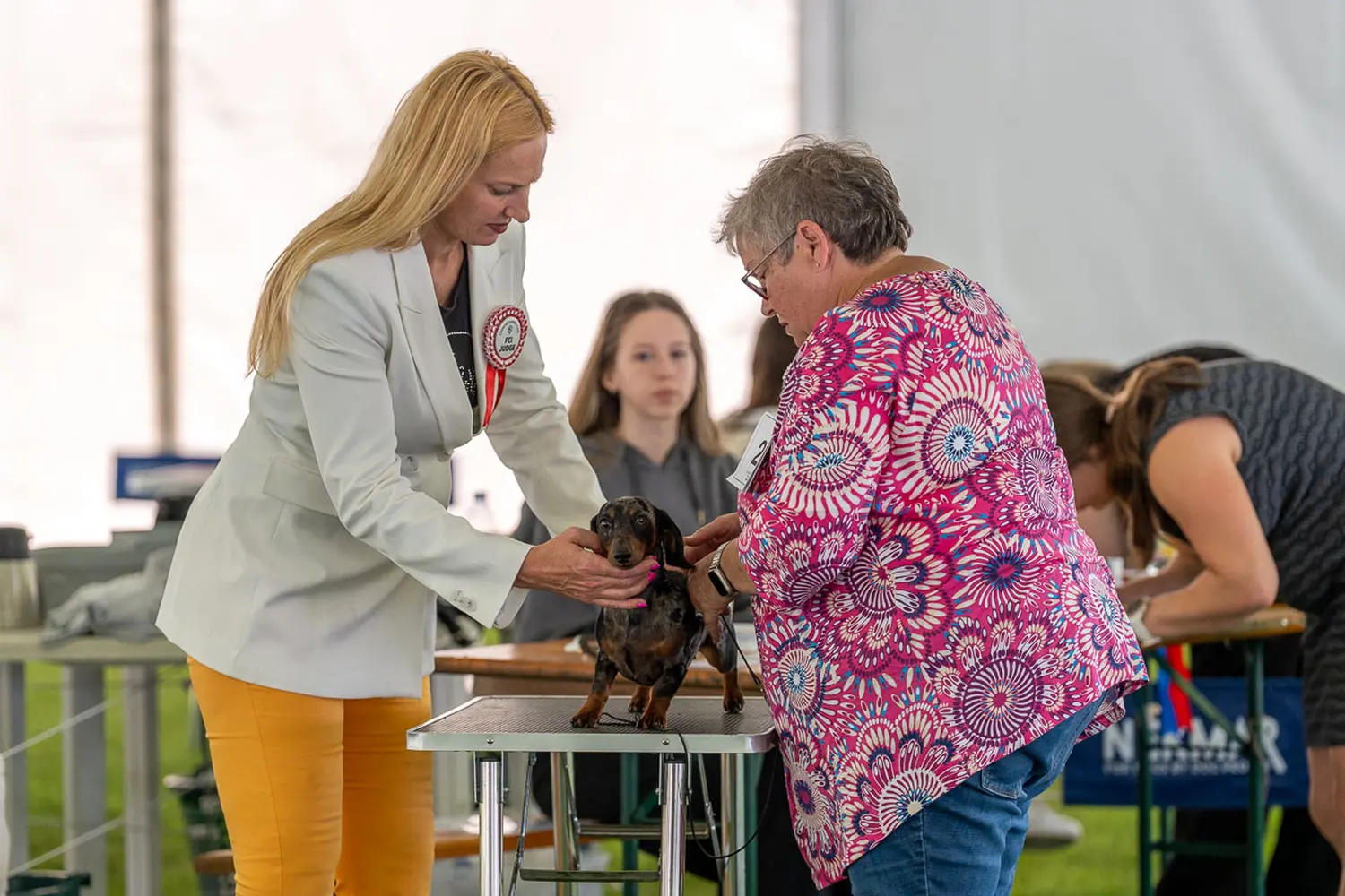dog show 2024 varaždin,izložba pasa (29)