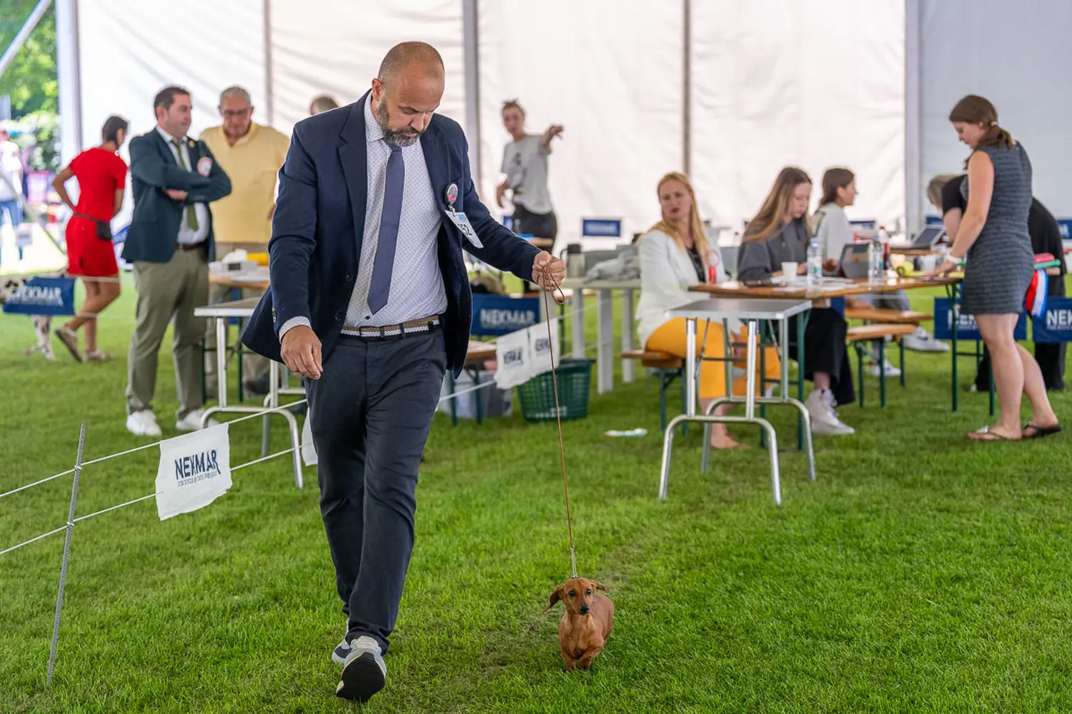 dog show 2024 varaždin,izložba pasa (31)