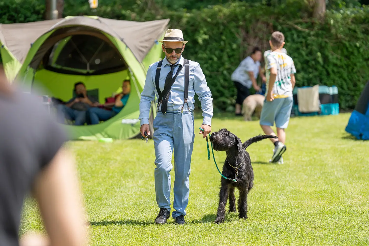 dog show 2024 varaždin,izložba pasa (5)
