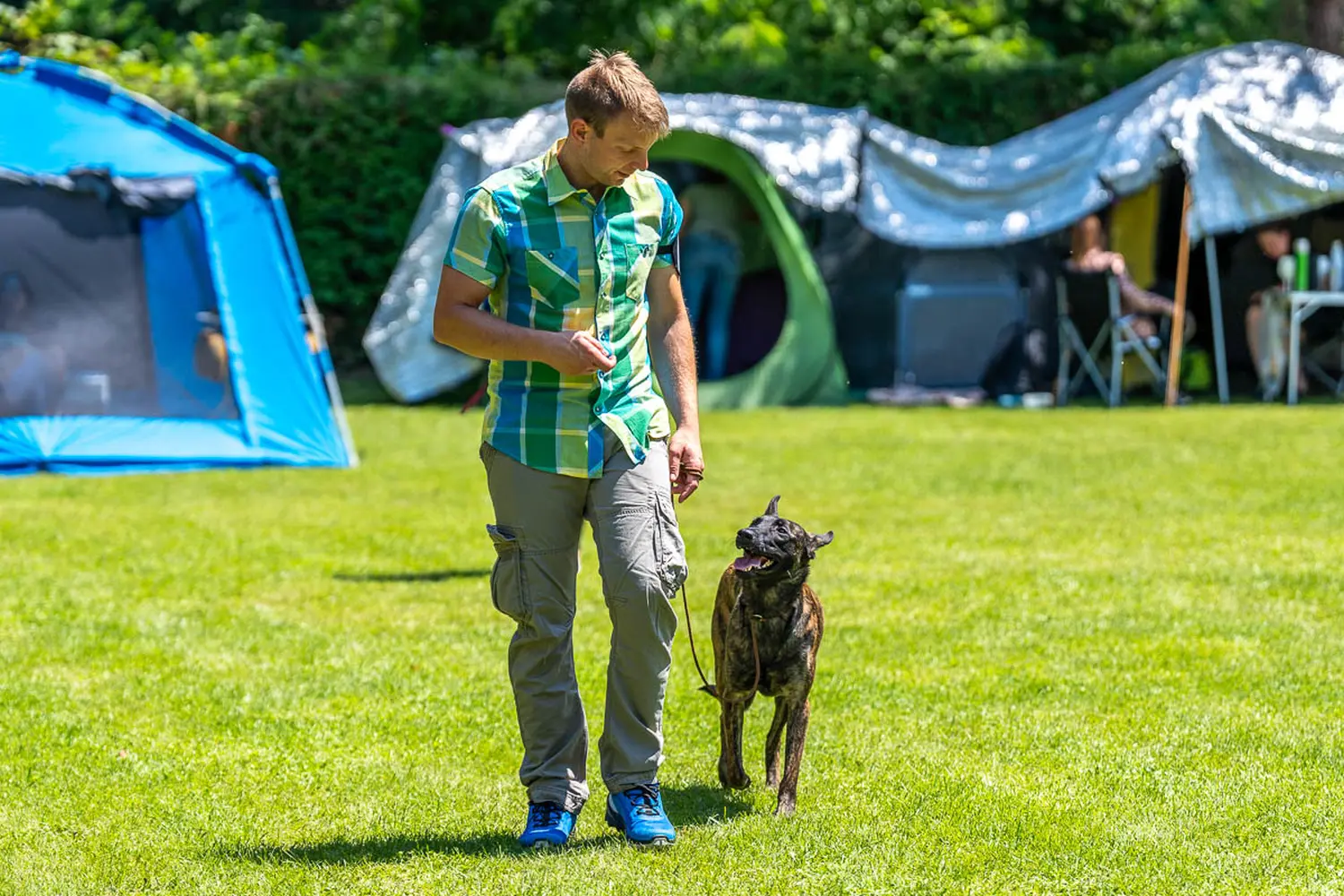 dog show 2024 varaždin,izložba pasa (6)