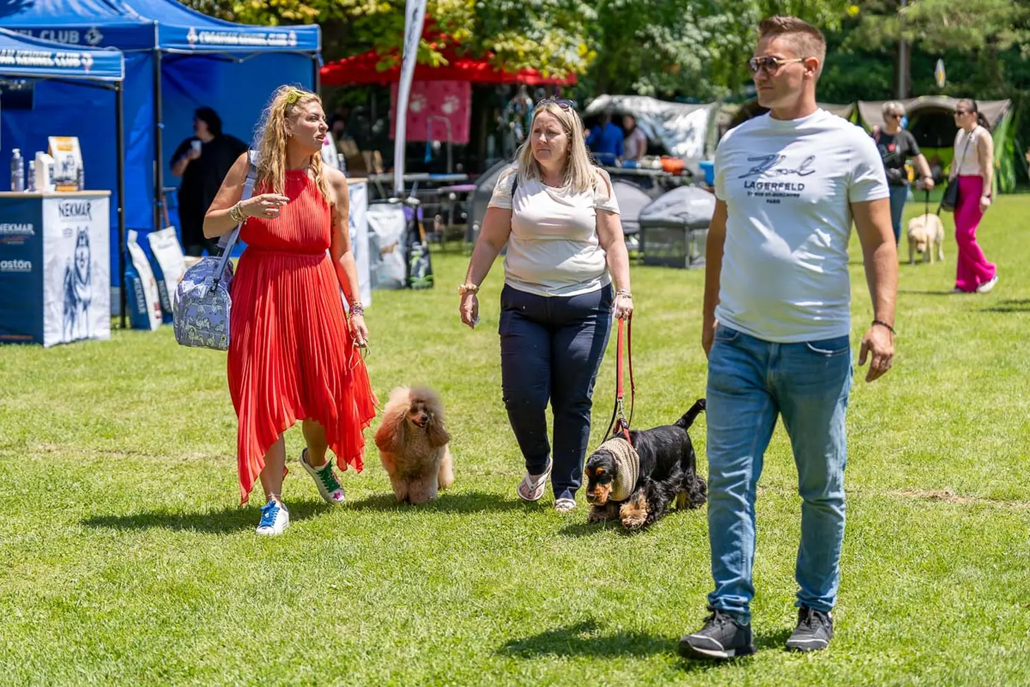 dog show 2024 varaždin,izložba pasa (7)