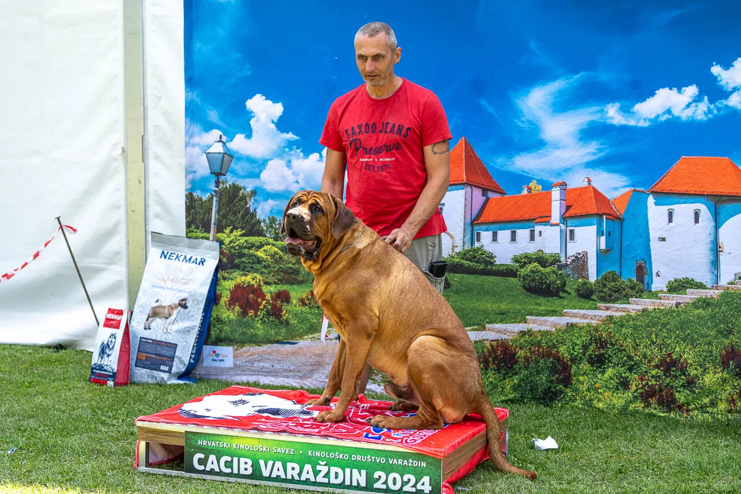 dog show 2024 varaždin,izložba pasa (8)
