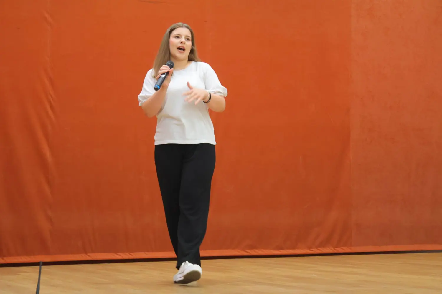 događanja, čakovec, ljeto u čakovcu (26)