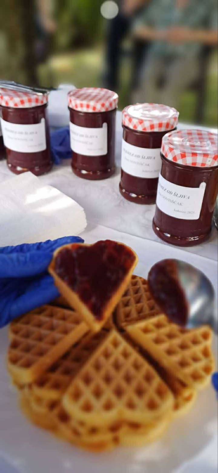 dom za starije i nemoćne novinščak, pekmez od šljiva (5)