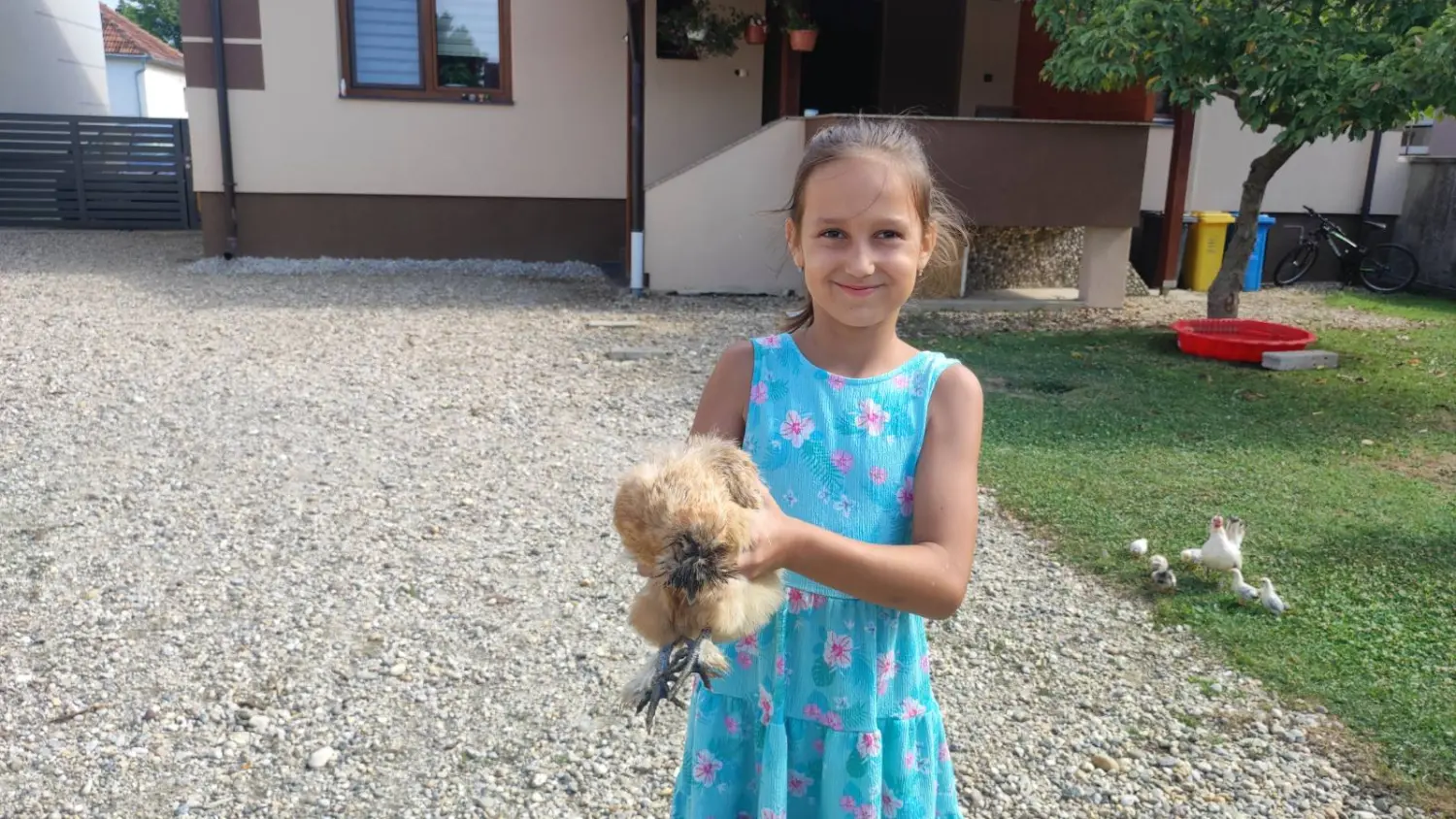 dorian zadravec (13) dorian zadravec (13)