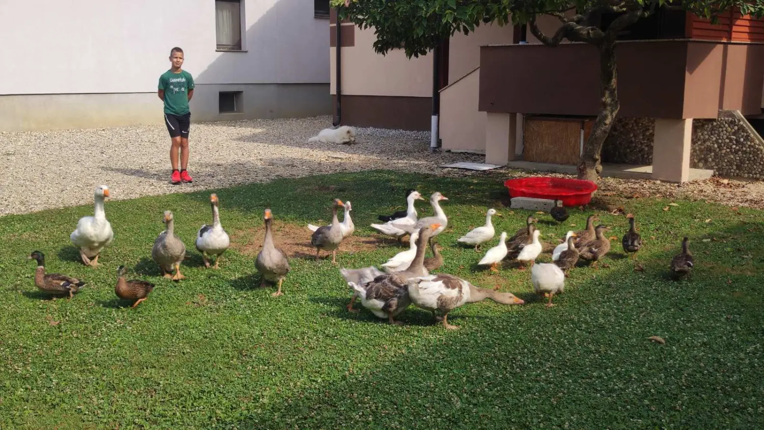 dorian zadravec (14) dorian zadravec (14)