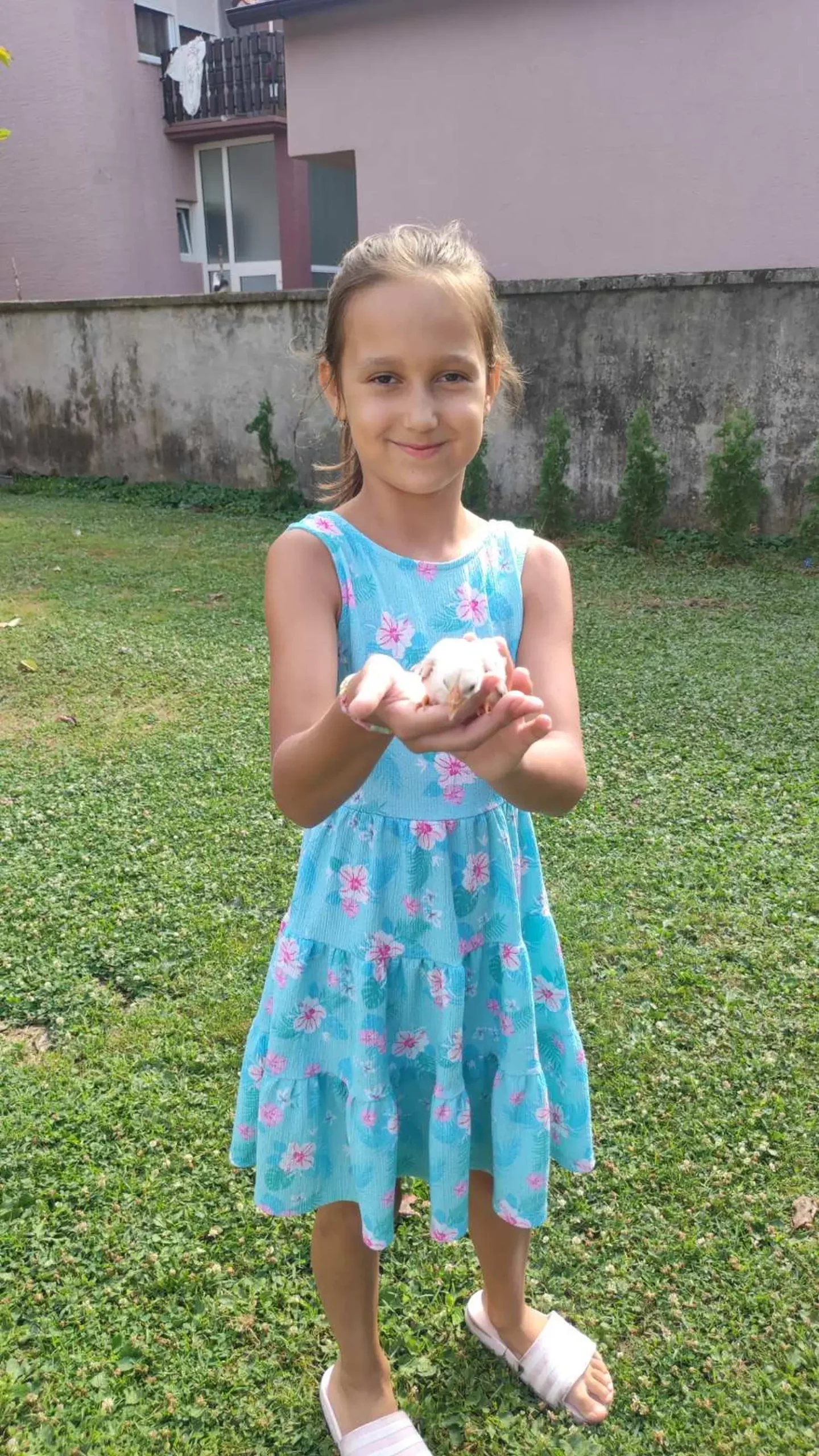 dorian zadravec (18) dorian zadravec (18)