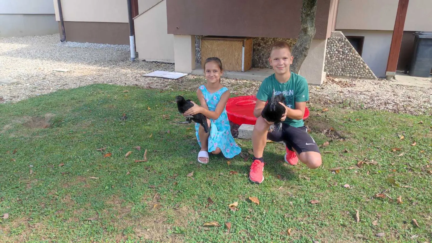 dorian zadravec (2) dorian zadravec (2)