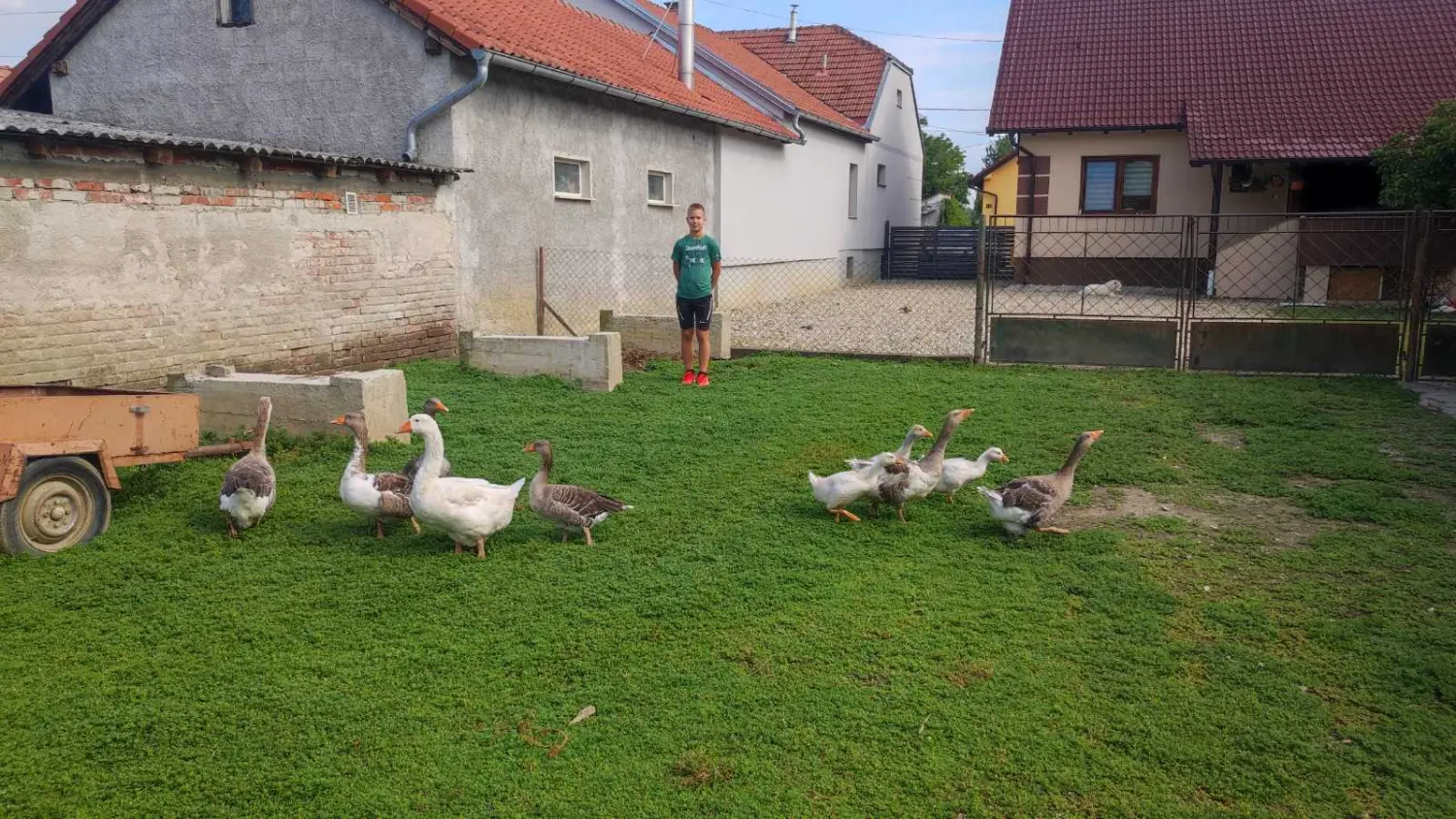 dorian zadravec (3) dorian zadravec (3)