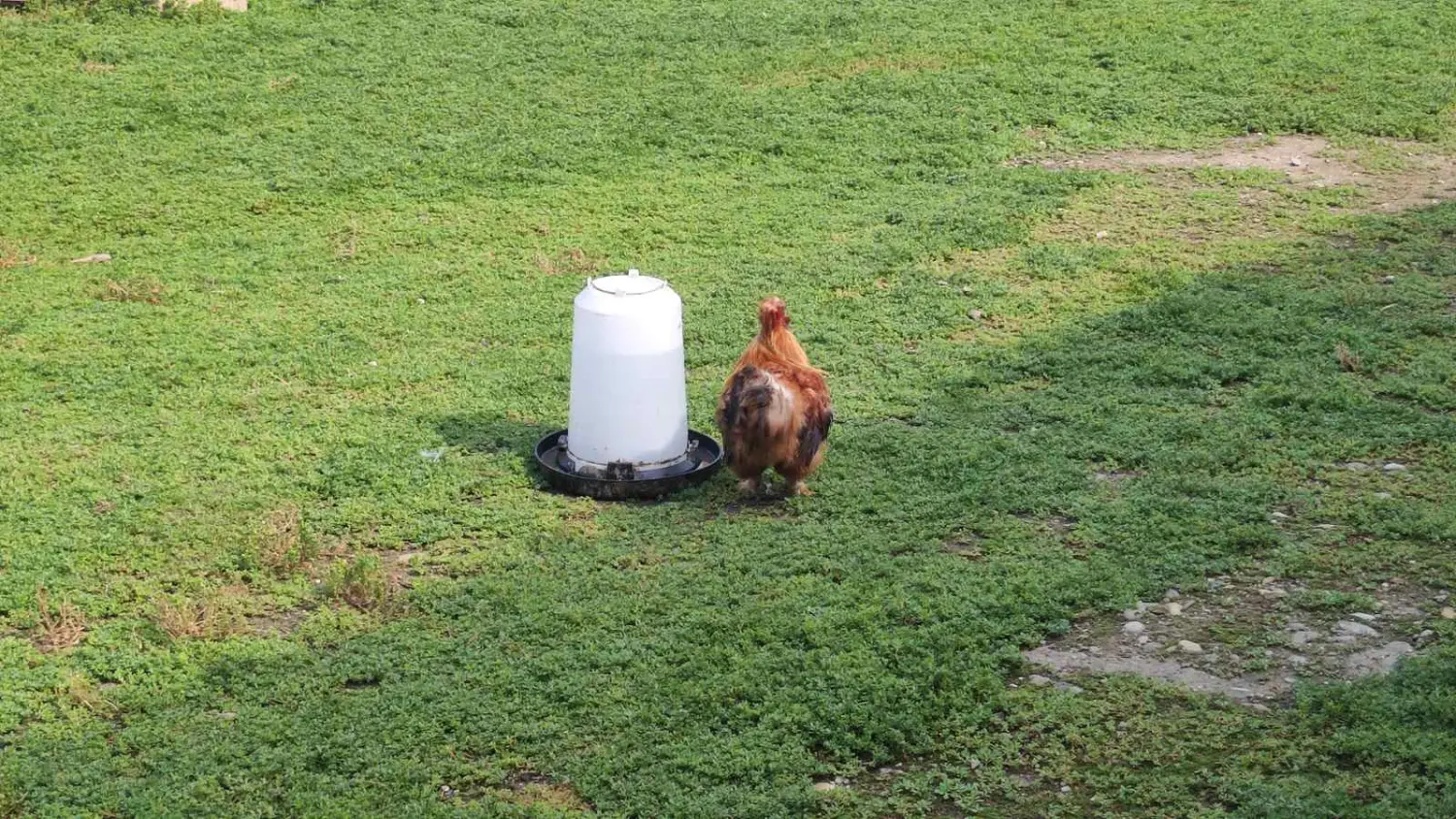 dorian zadravec (5) dorian zadravec (5)