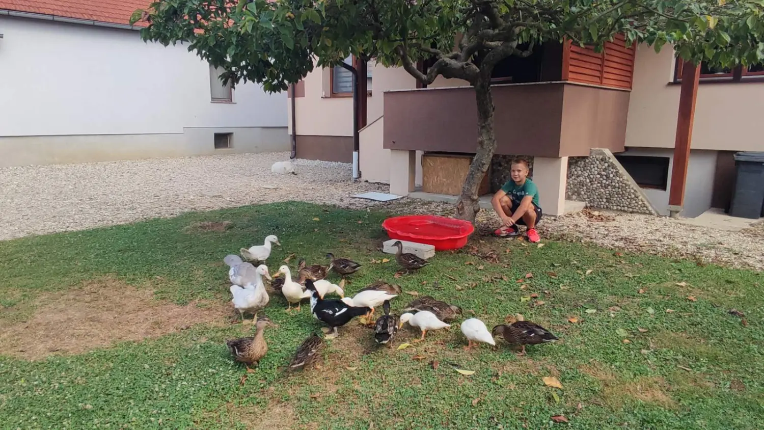 dorian zadravec (8) dorian zadravec (8)