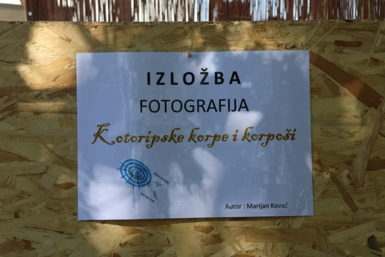 drugi dan dani šibe i ribe (35) drugi dan dani šibe i ribe (35)