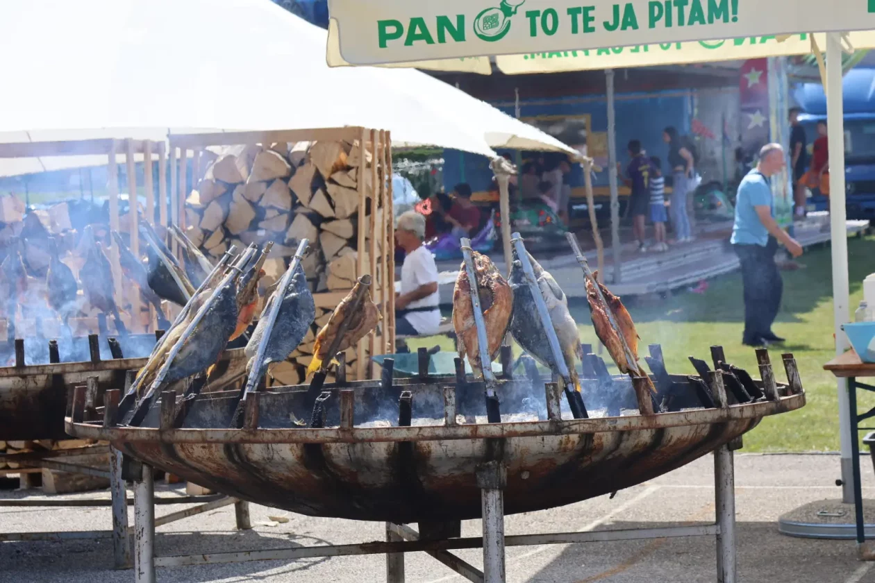 drugi dan dani šibe i ribe (49) drugi dan dani šibe i ribe (49)
