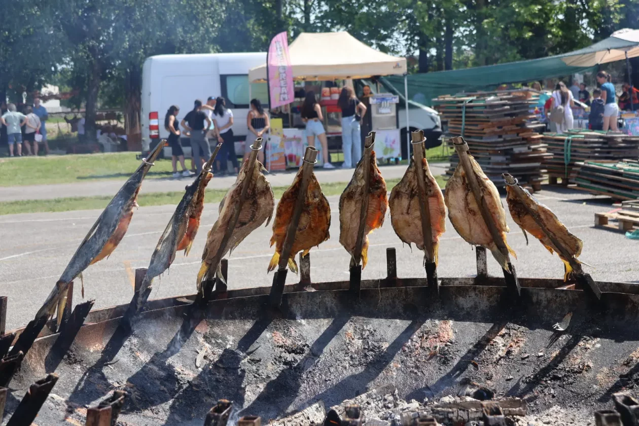 drugi dan dani šibe i ribe (66) drugi dan dani šibe i ribe (66)