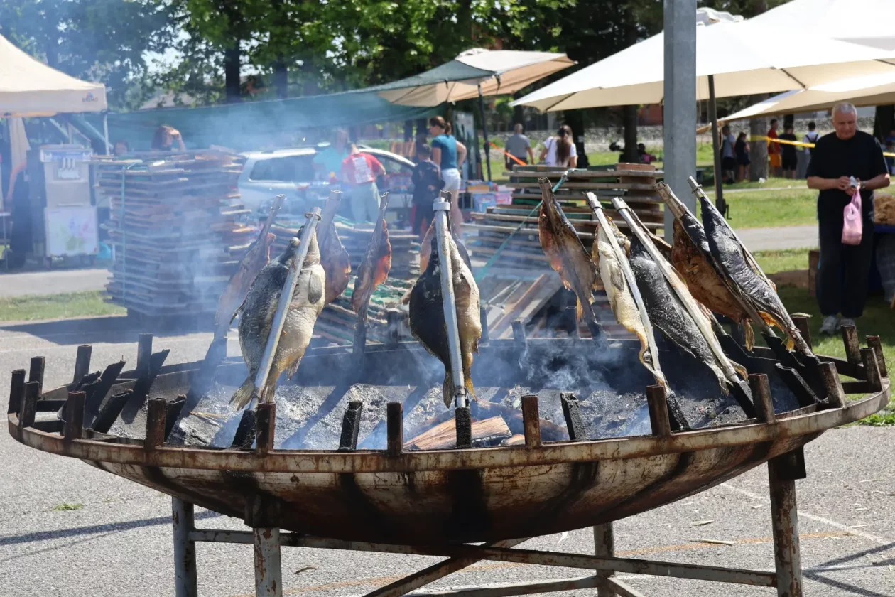 drugi dan dani šibe i ribe (67) drugi dan dani šibe i ribe (67)