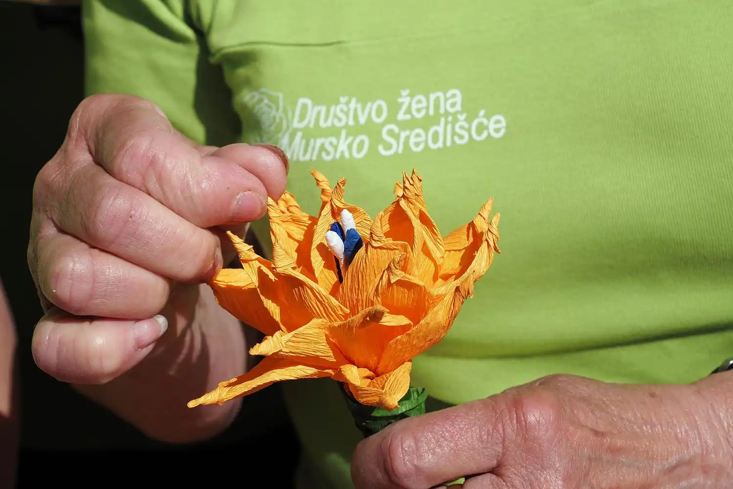 drustvo zena Mursko Sredisce (2)