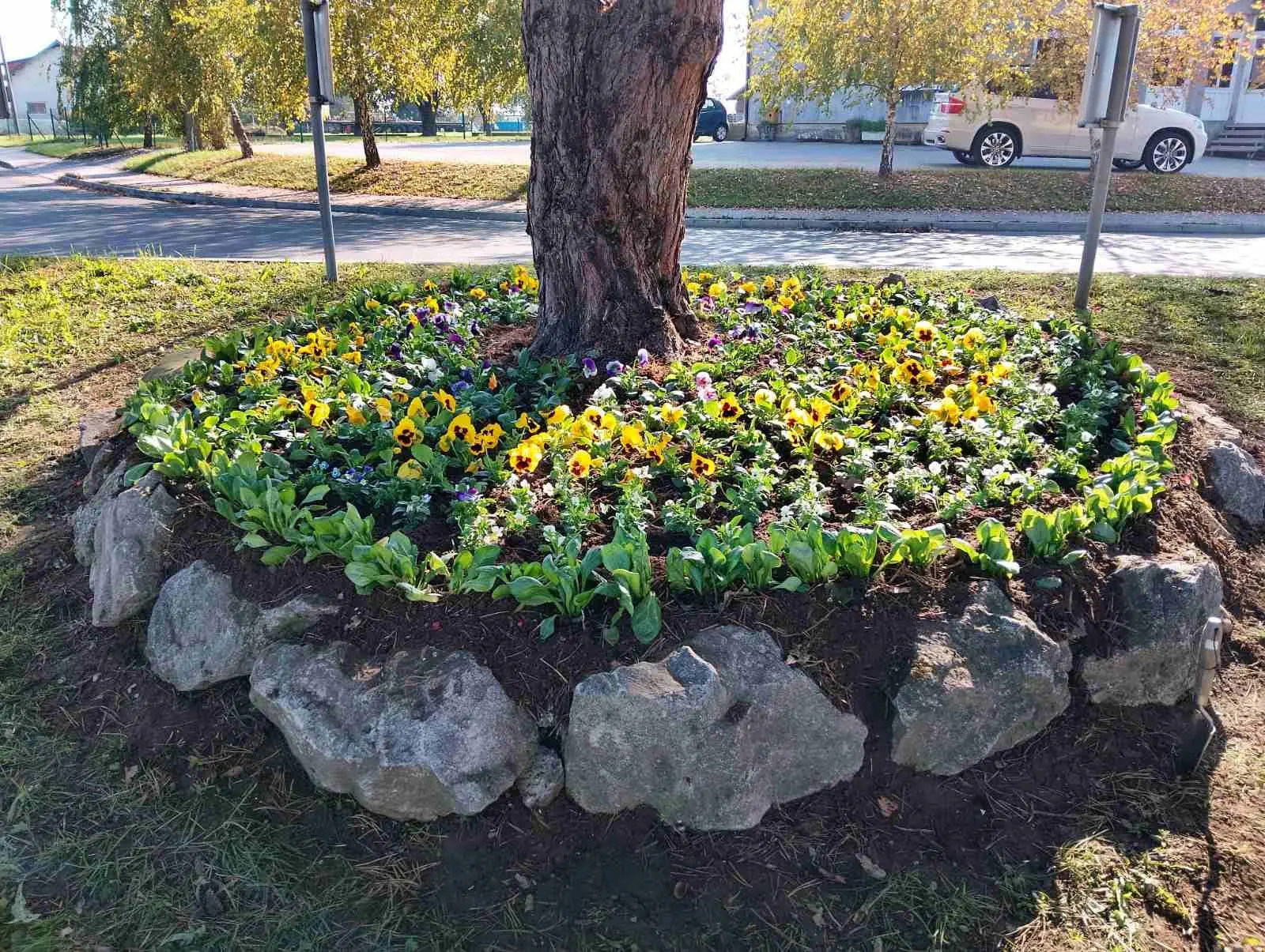 društvo žena hlapičina (10)