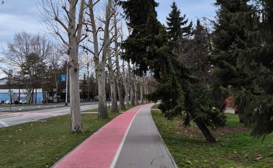 drvo Zrinsko-Frankopanska 22 drvo Zrinsko-Frankopanska 22