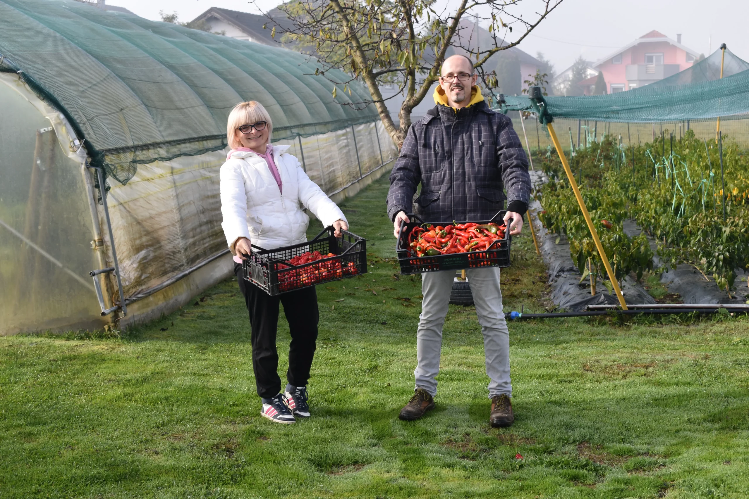 držanić,ljuto,tina držanić (1) držanić,ljuto,tina držanić (1)