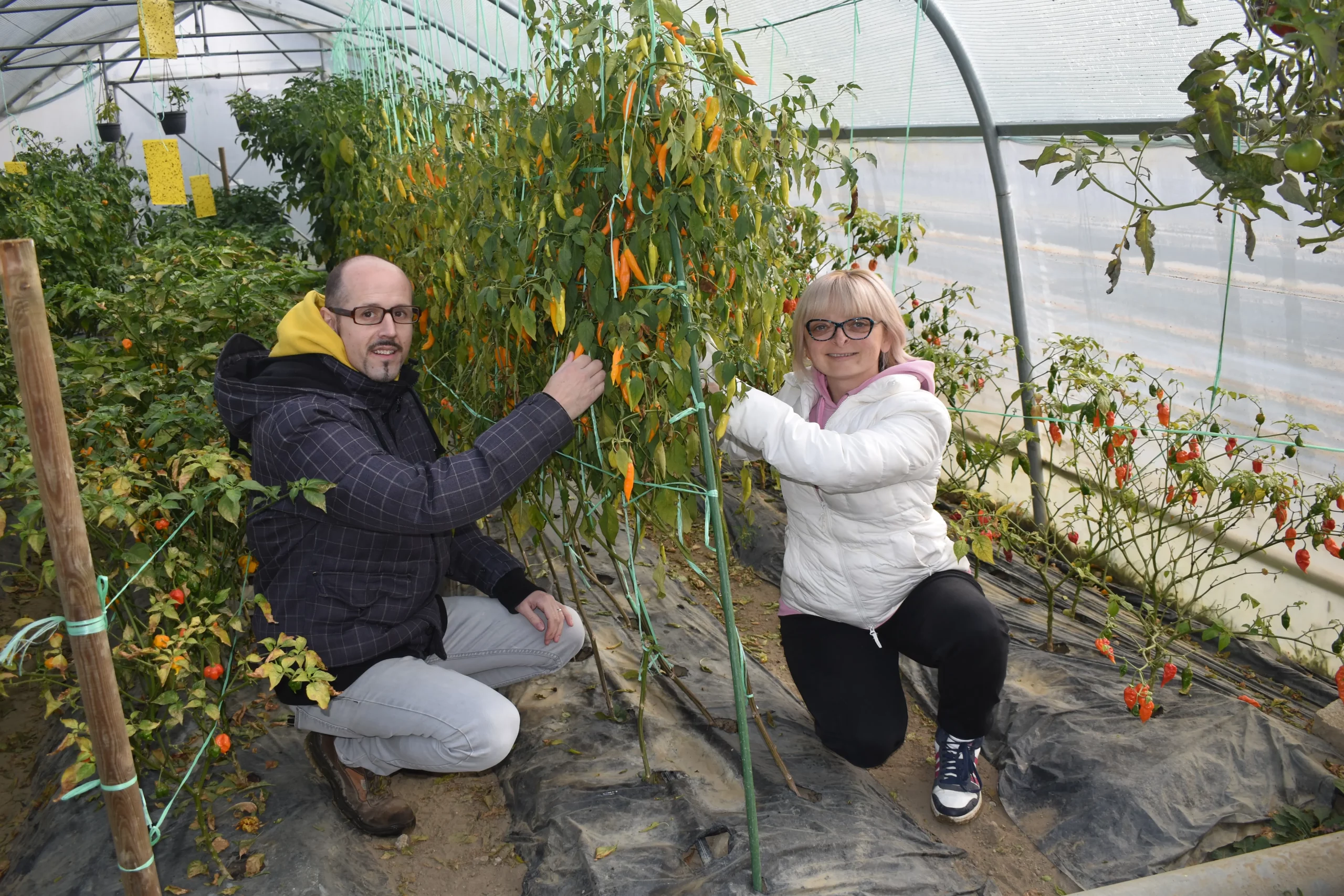 držanić,ljuto,tina držanić (2) držanić,ljuto,tina držanić (2)