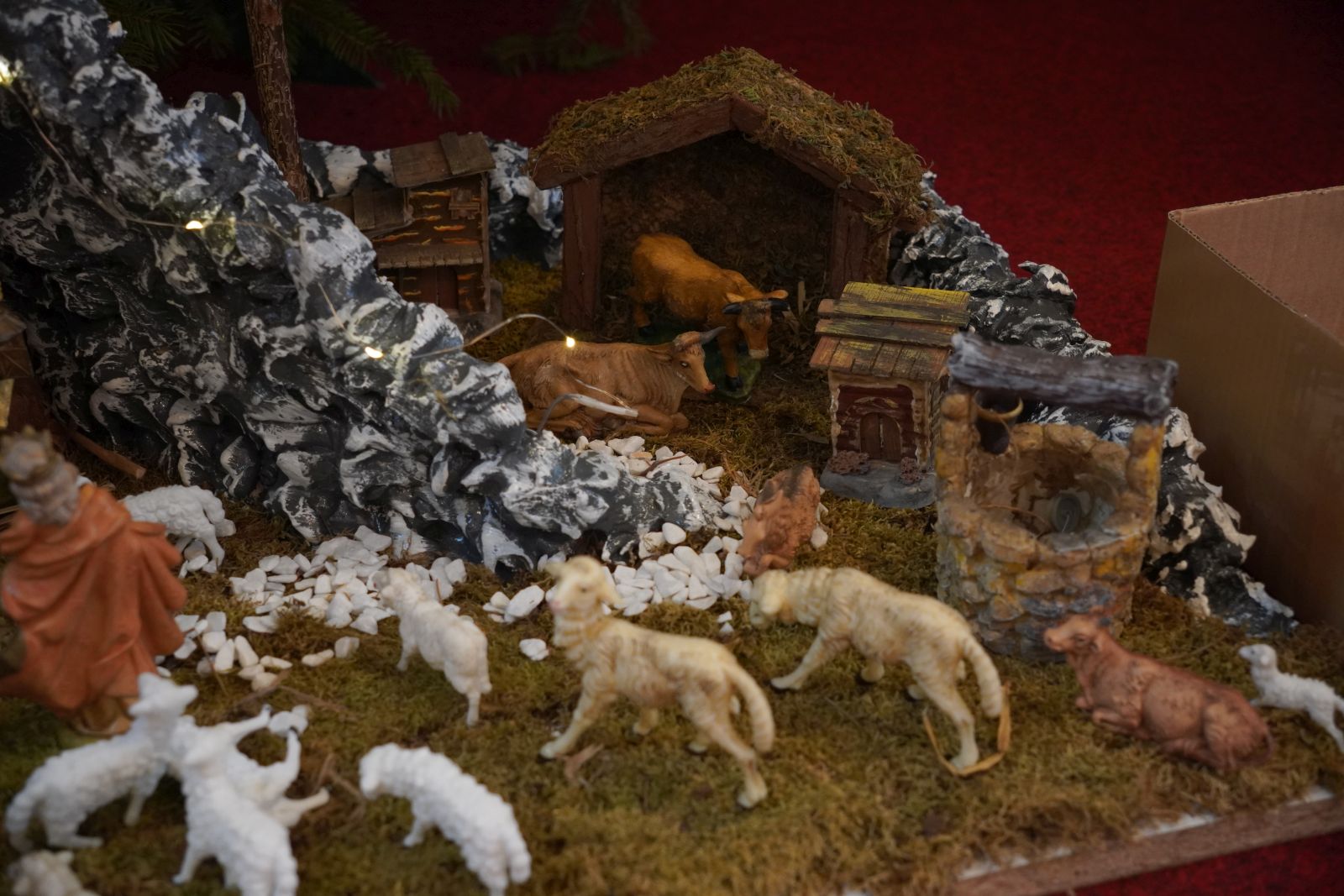 dunjkovec polnoćka 2025 24