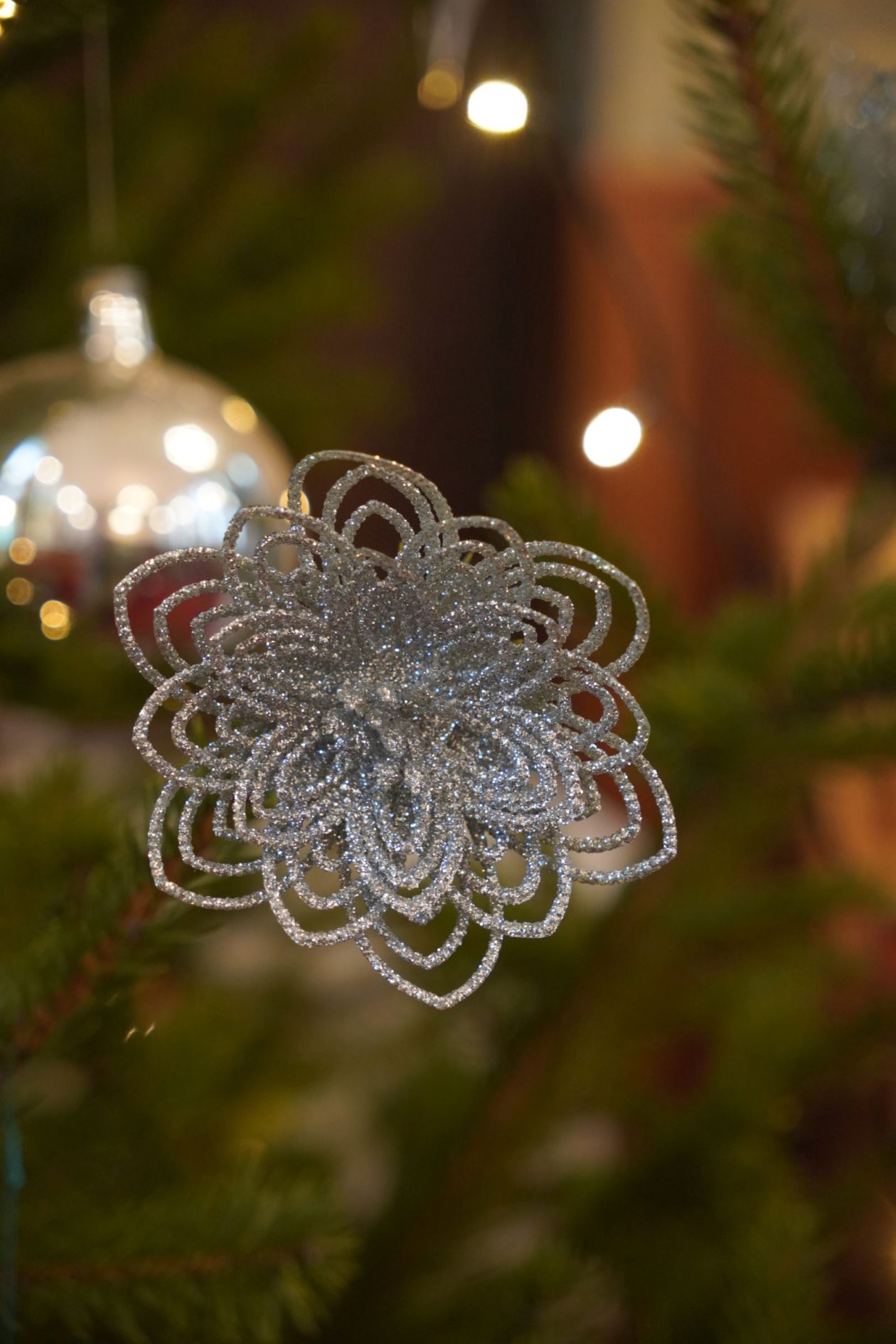 dunjkovec polnoćka 2025 26