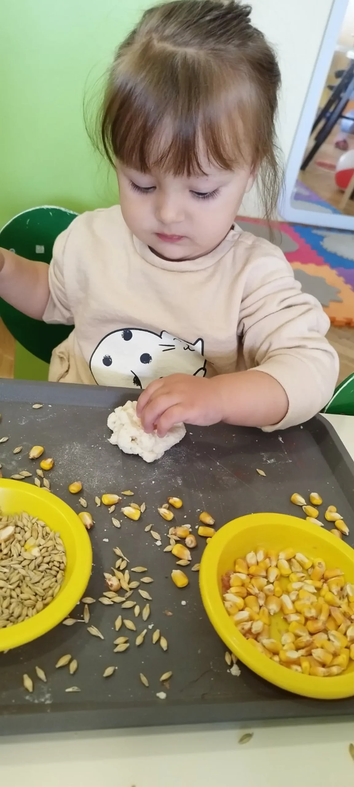 dv belica, Pčelice (3)