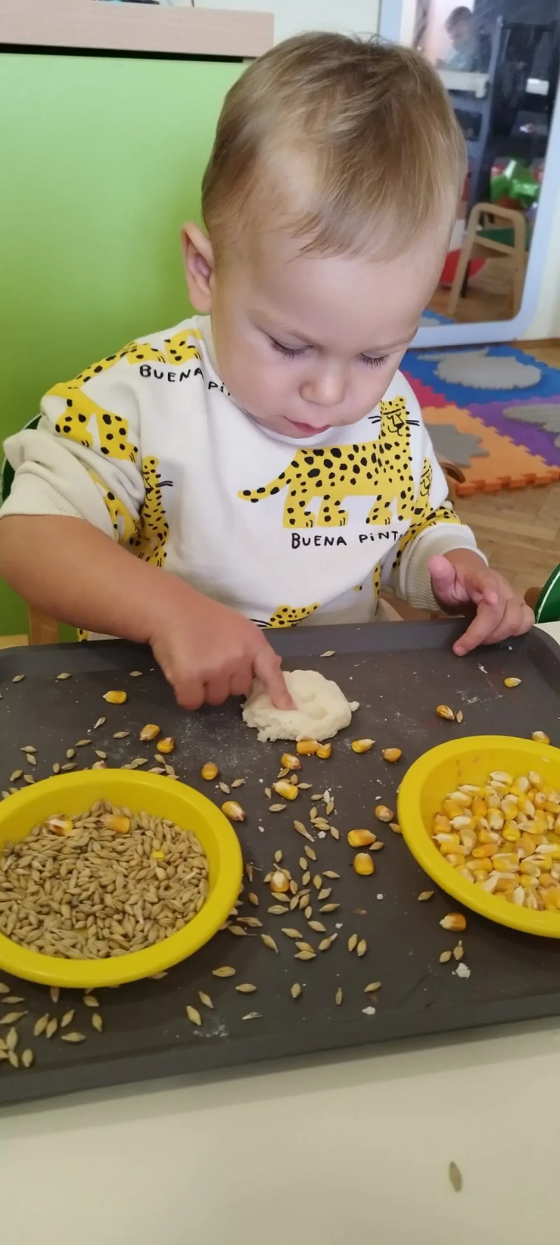 dv belica, Pčelice (4)