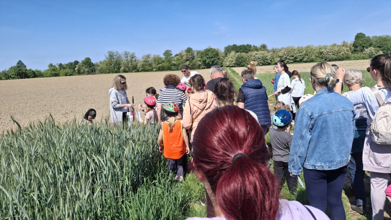 dv cvrčak, projektni dan (14)