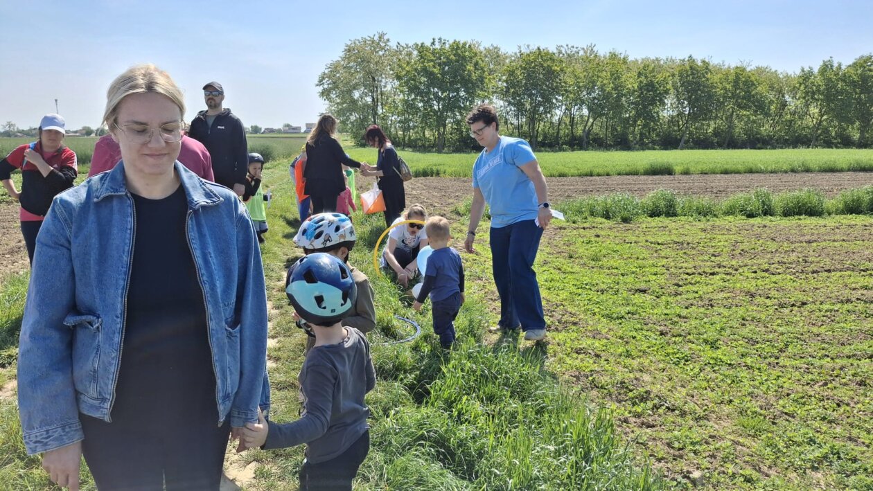 dv cvrčak, projektni dan (15)