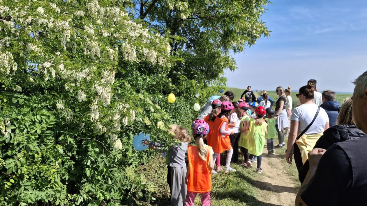 dv cvrčak, projektni dan (16)