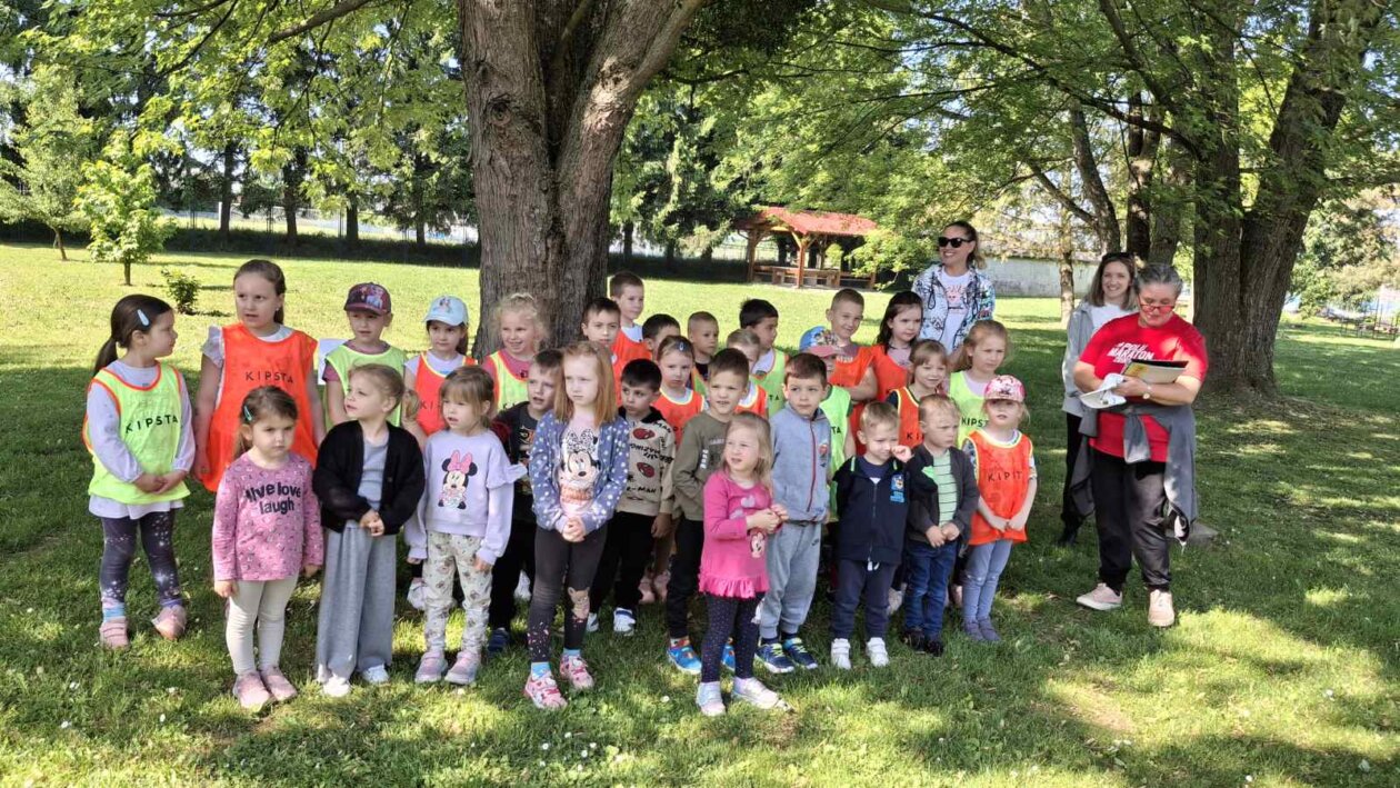 dv cvrčak, projektni dan (2)