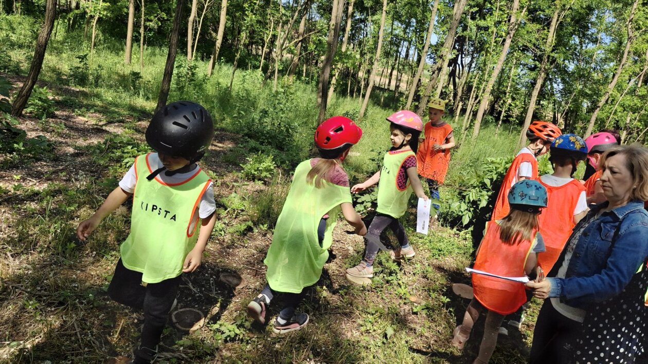 dv cvrčak, projektni dan (9)