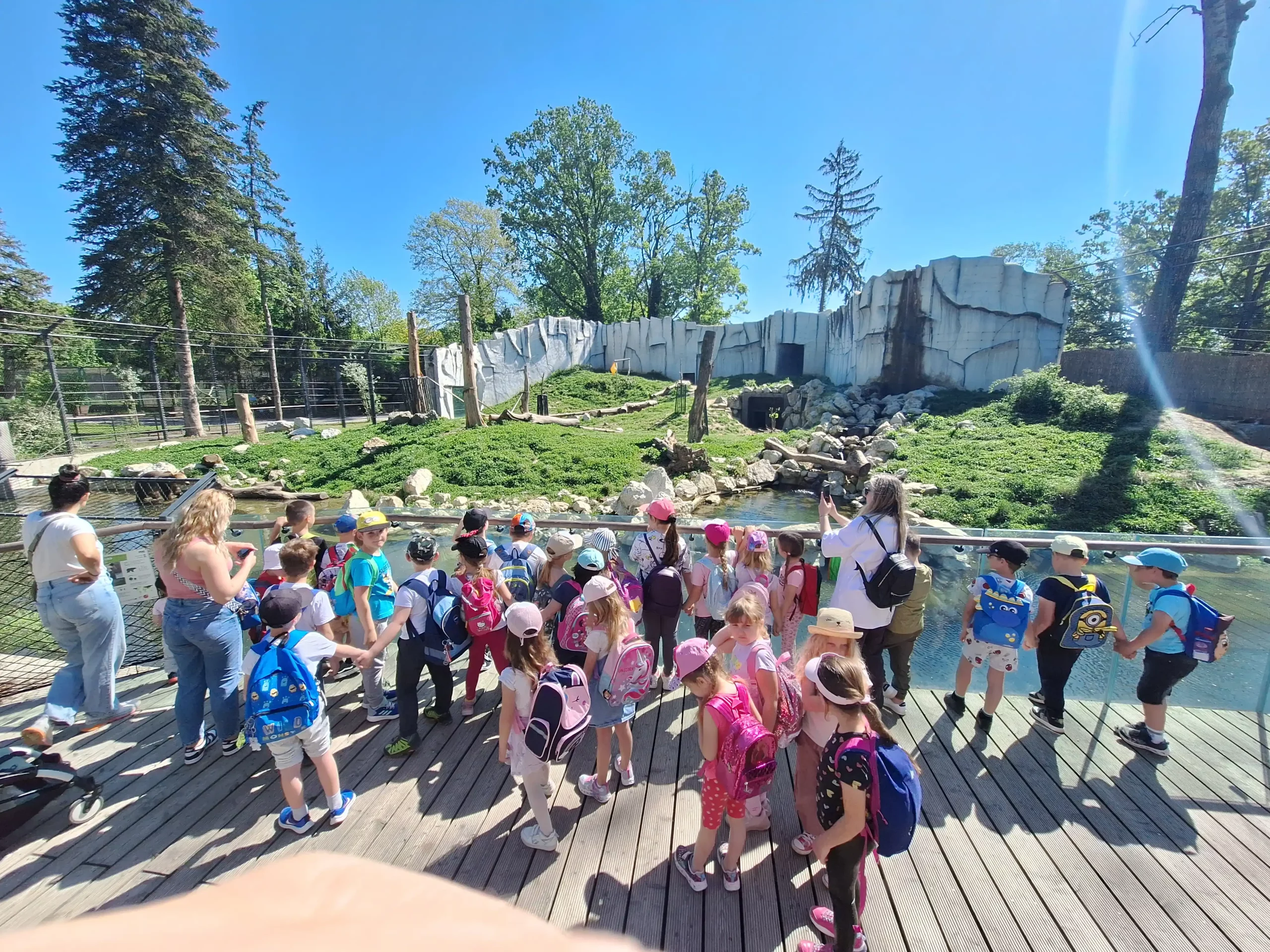 dv jurovska pčelica (3)