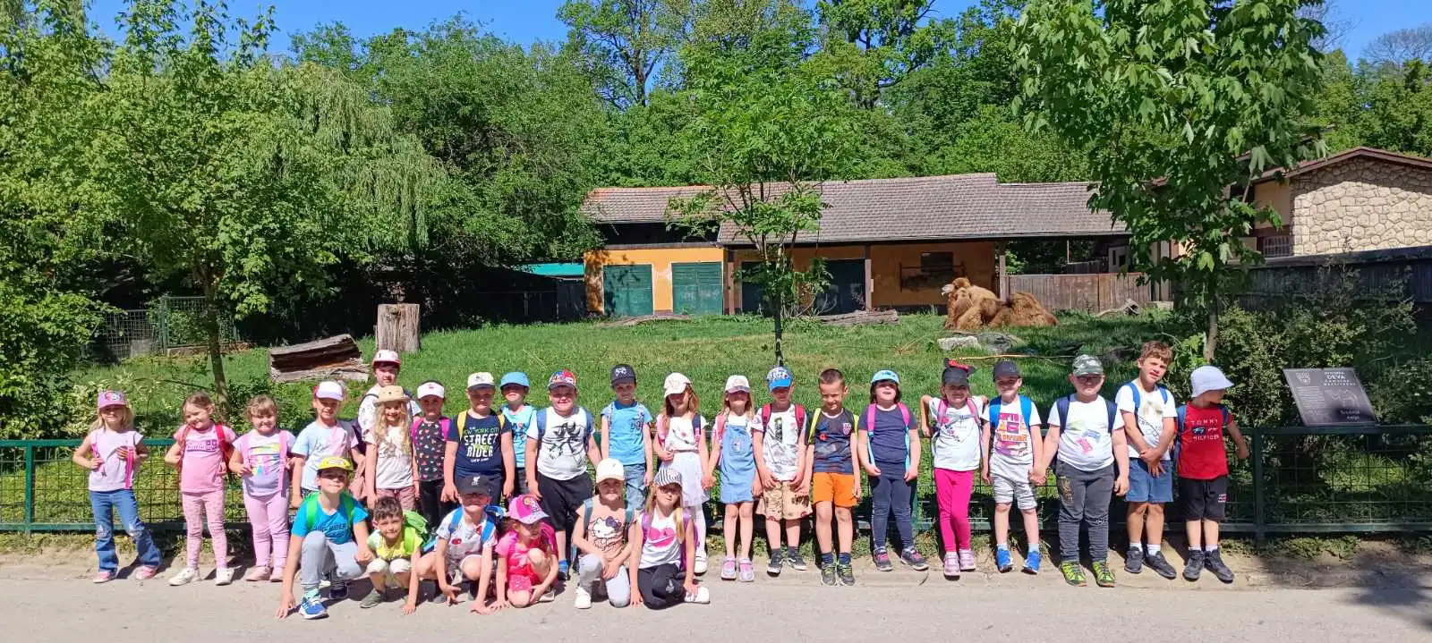 dv jurovska pčelica (6)